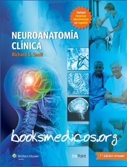 Snell neuroanatomia clinica 7 edicion pdf